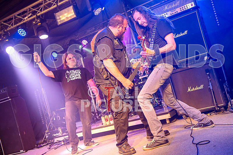 Crazy Babies-118 - CRAZY BABIES