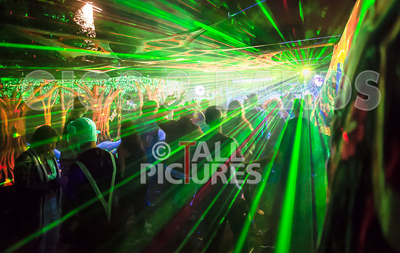 Vale Earth Fair_Atmosphere_2014-6 - VALE EARTH FAIR 2014 - THE ATMOSPHERE