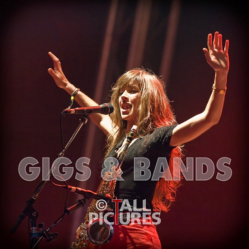 Zutons-18 - THE ZUTONS