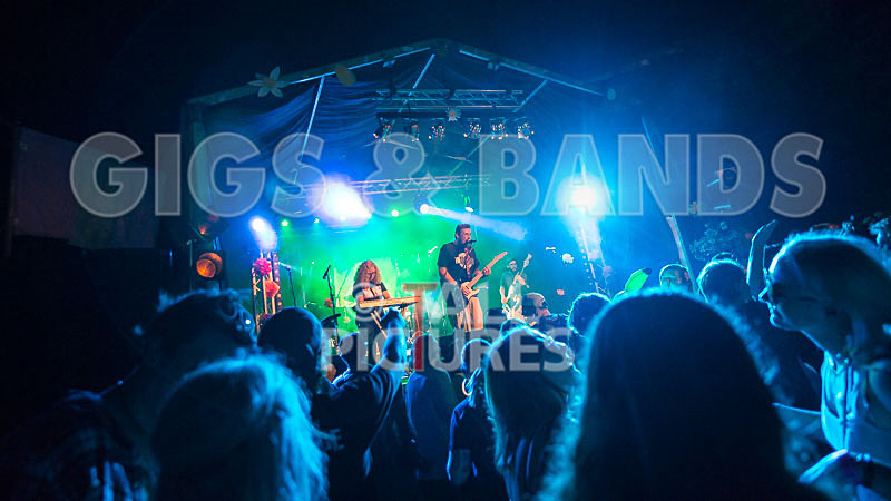 Honest Crooks-205 - HONEST CROOKS