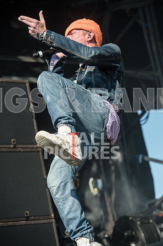 Stereo MCs-29 - STEREO MC's