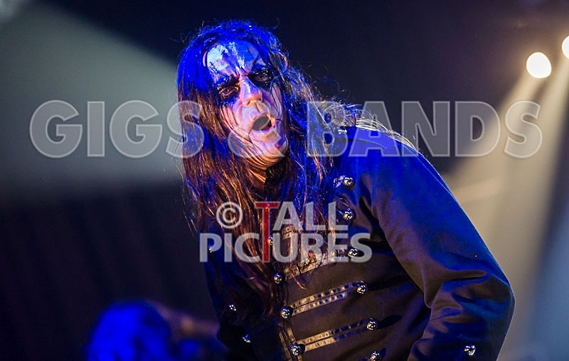 Gallus Cooper-8 - GALLUS COOPER