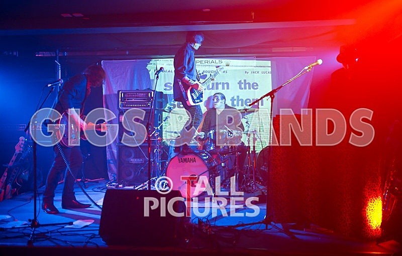 Thee Jenerators-240 - THEE JENERATORS