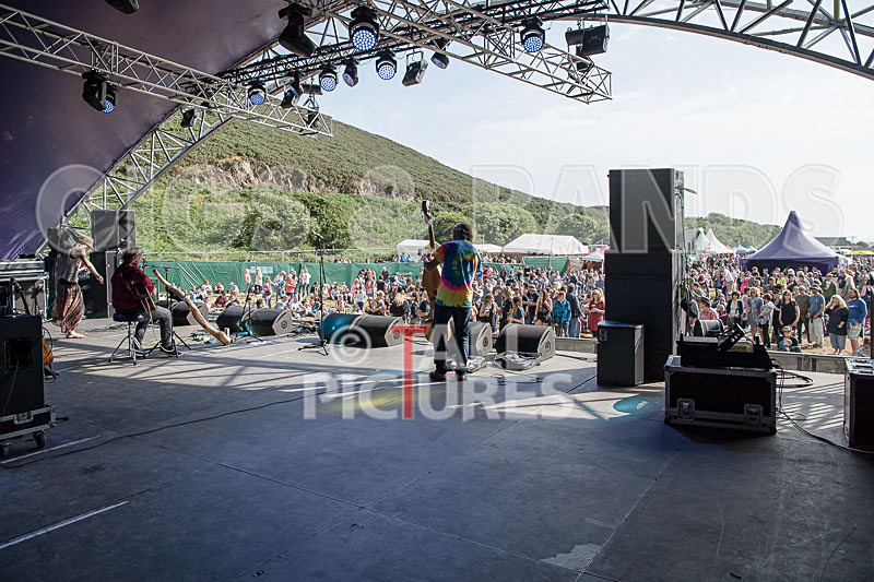 Buffalo Huddleston-411 - BUFFALO HUDDLESTON