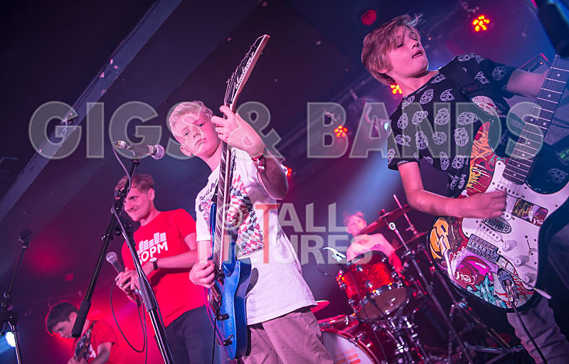 The Lemmings-11 - THE LEMMINGS