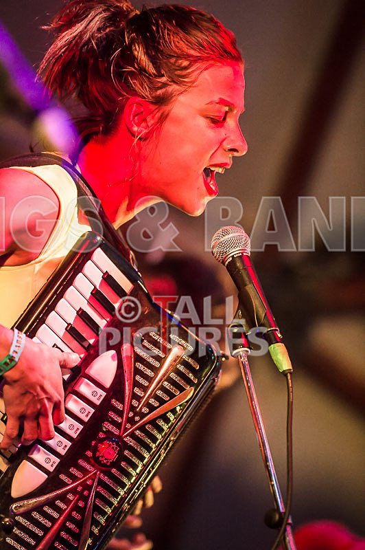 Molotov Jukebox-7 - MOLOTOV JUKEBOX