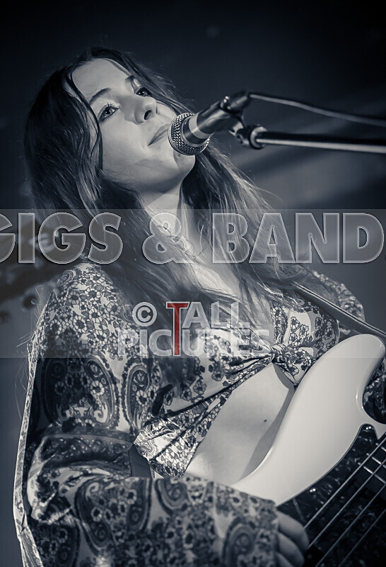 Dislocated-15 - DISLOCATED