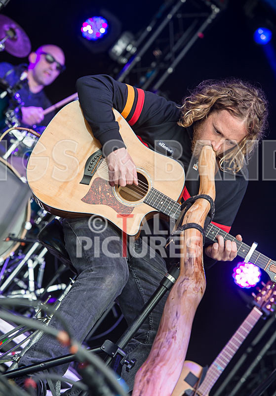 Buffalo Huddleston-408 - BUFFALO HUDDLESTON