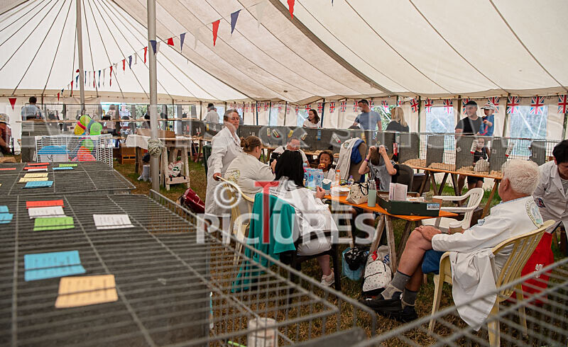 Guernsey Agricultural Show 2021-144 - GUERNSEY AGRICULTURAL SHOW 2021