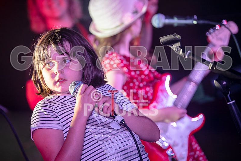 The Flaming Flamingos-19 - THE FLAMING FLAMINGOES