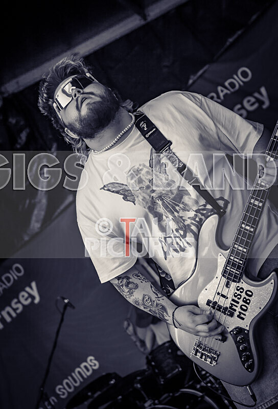 Bloomfield-33 - BLOOMFIELD