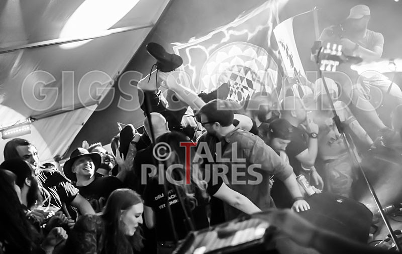 Mechanical Lobster-18 - MECHANICAL LOBSTER