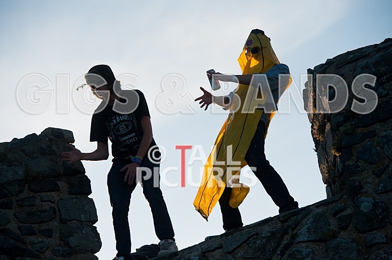 Vale Earth Fair 2011-13 - VALE EARTH FAIR 2011 - SCENE