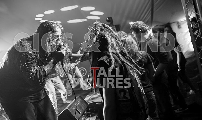 Stone Em All-56 - STONE EM ALL