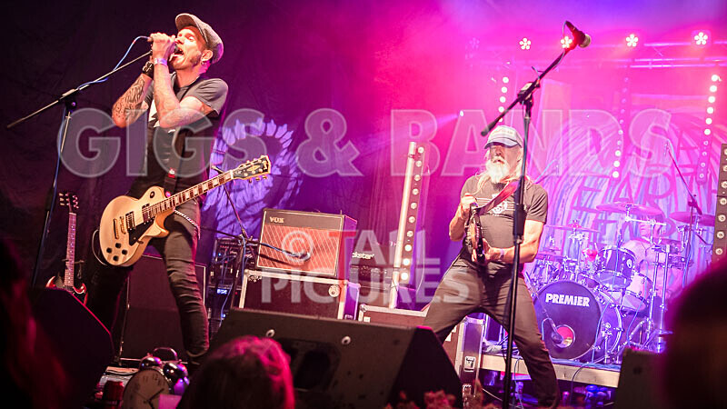 The Electric Shakes-201 - THE ELECTRIC SHAKES