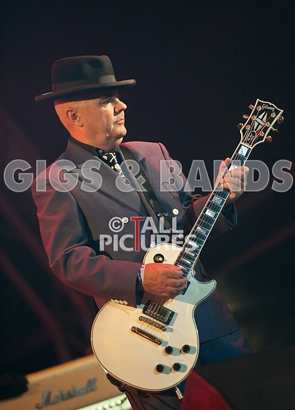 Madness-19 - MADNESS