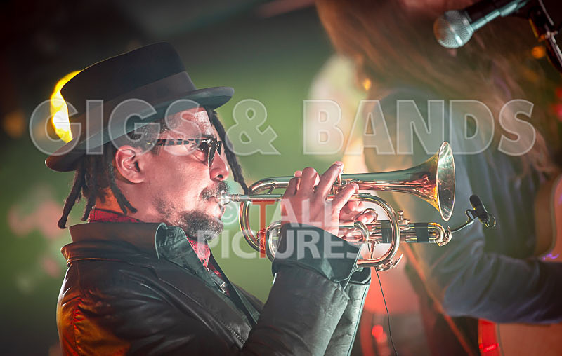 The Recks-773 - THE RECKS - THE BEAST FROM THE SEA