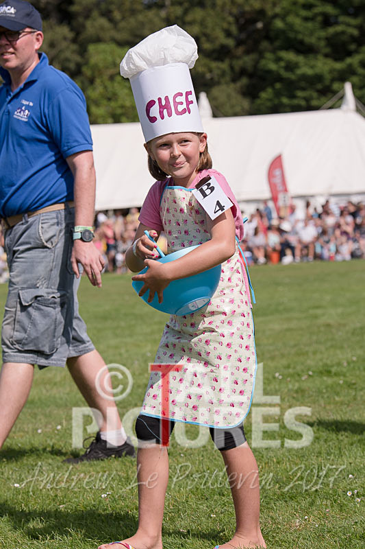 North Show 2017-55 - NORTH SHOW 2017