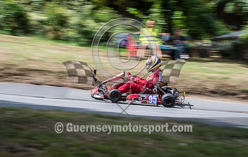 Hillclimb_02-08-2014_Kart-29 - KARTS_02-08-2014