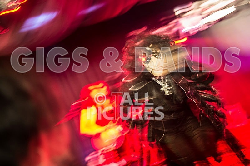 Gallus Cooper-11 - GALLUS COOPER