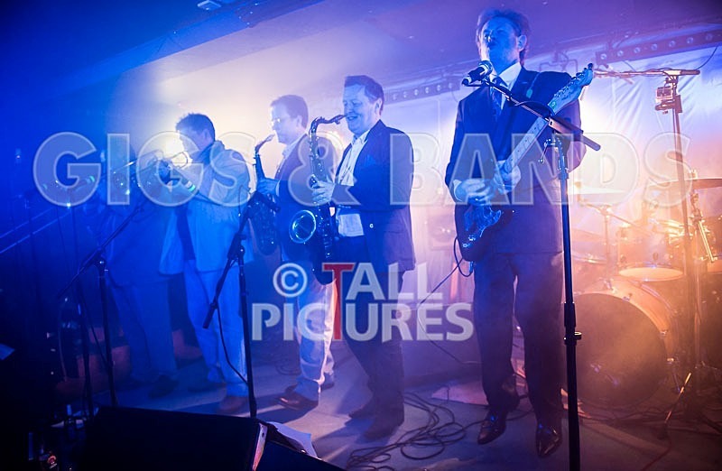 The Pulse-65 - THE PULSE