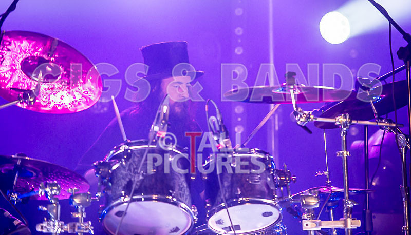 Peppered Ant Legs-159 - PEPPERED ANT LEGS