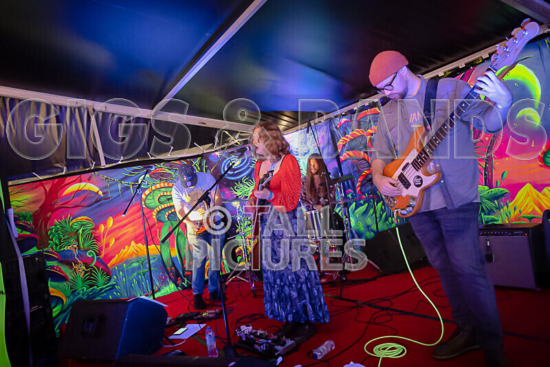 Kiya Ashton and the Folkadelics-6 - KIYA ASHTON AND THE FOLKADELICS