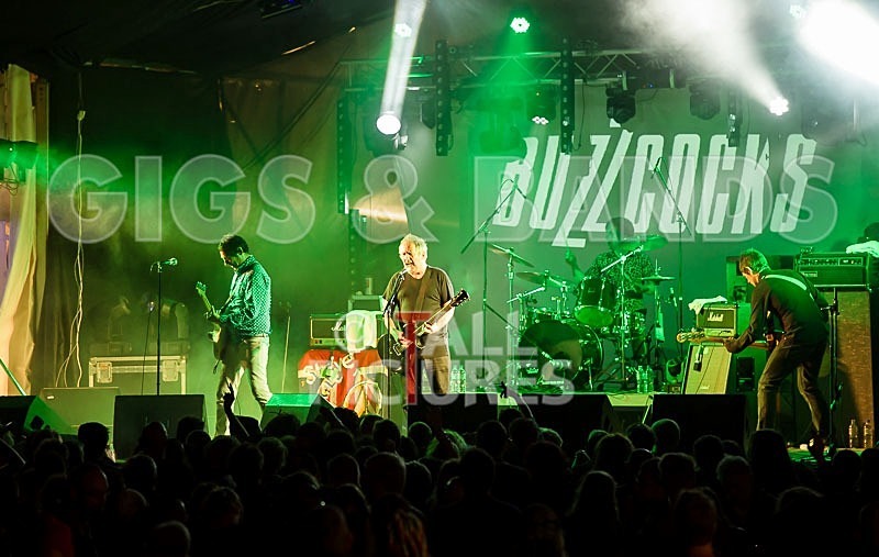 The Buzzcocks-32 - BUZZCOCKS