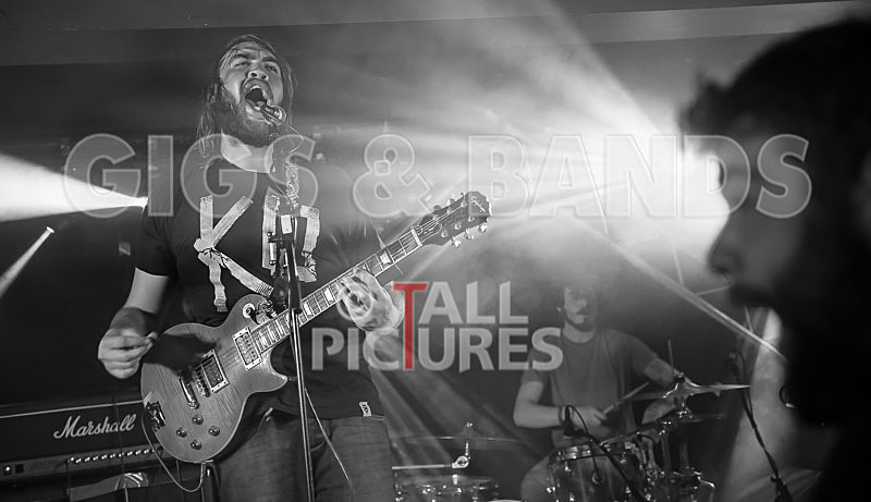 To the Woods-324 - TO THE WOODS