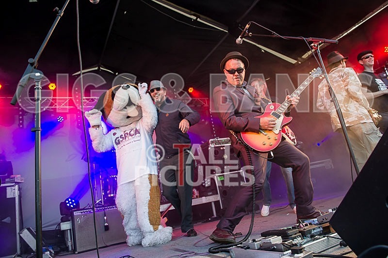 Sons of the Desert-225 - SONS OF THE DESERT