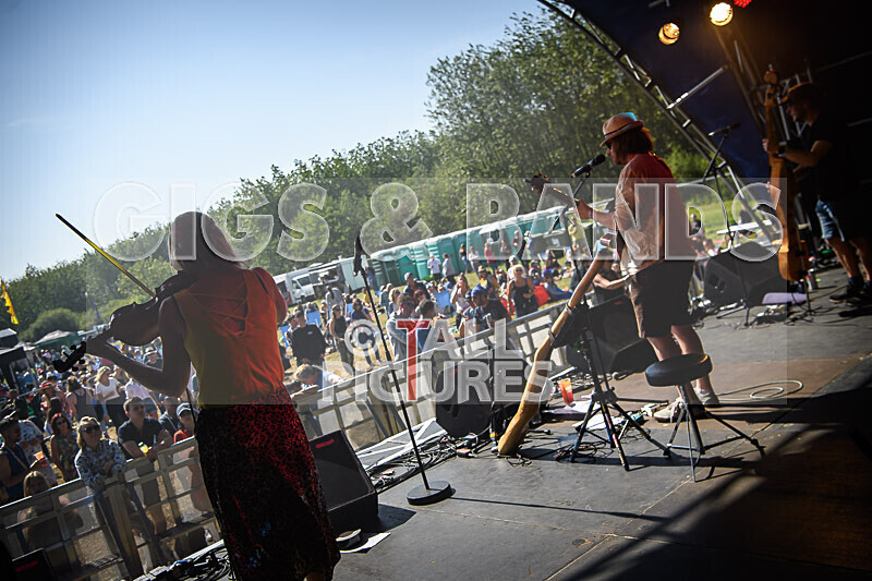 Buffalo Hudleston-709 - BUFFALO HUDLESTON