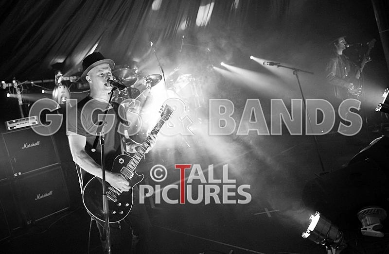 Peppered Ants Legs-2 - PEPPERED ANT LEGS at GREENMAN CHAOS 2009