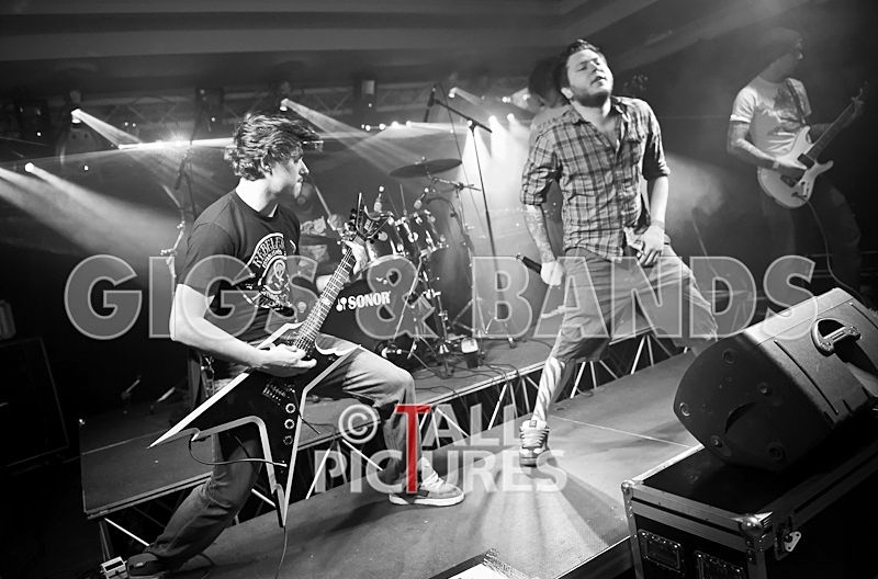 Brutus Stonefist-224 - BRUTUS STONEFIST at RoA-7