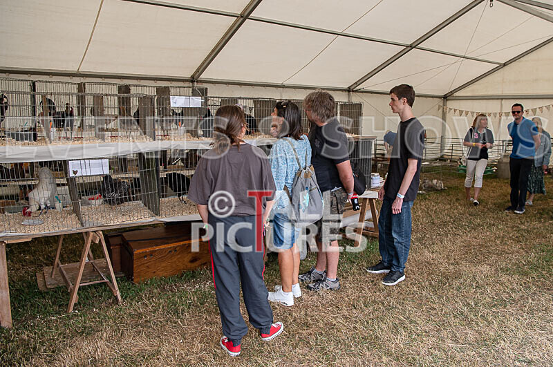 Guernsey Agricultural Show 2021-150 - GUERNSEY AGRICULTURAL SHOW 2021