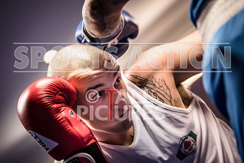 BOUT-6_Tomasz Kot v Shaun Magennis-2 - BOUT-6_Tomasz Kot v Shaun Magennis