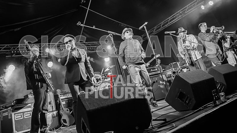 Sons of the Desert-262 - SONS OF THE DESERT