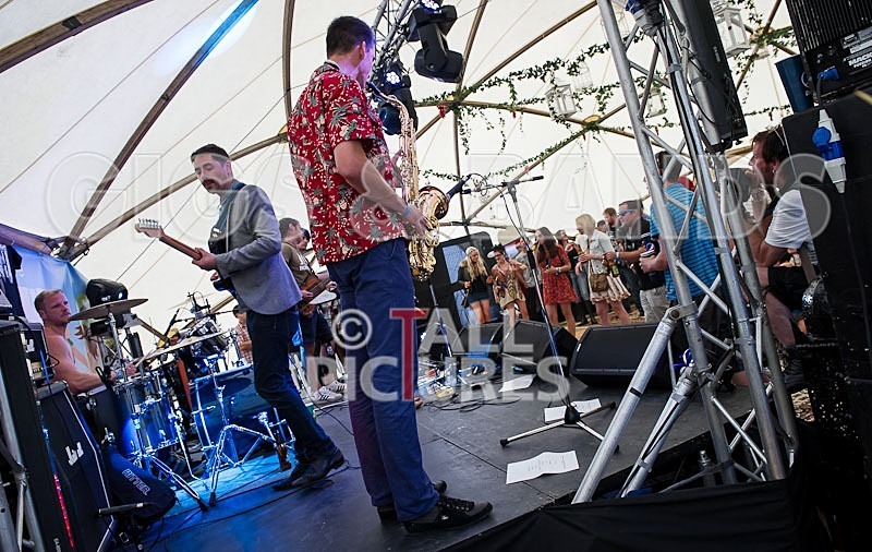 The Gaa Gaas-15 - THE GAA GAA'S