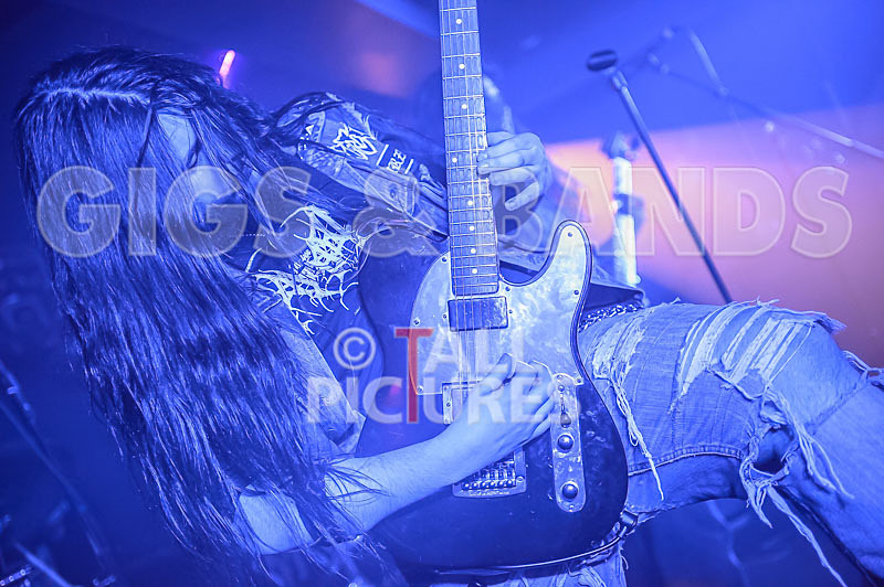 Stone Em All-211 - STONE EM ALL