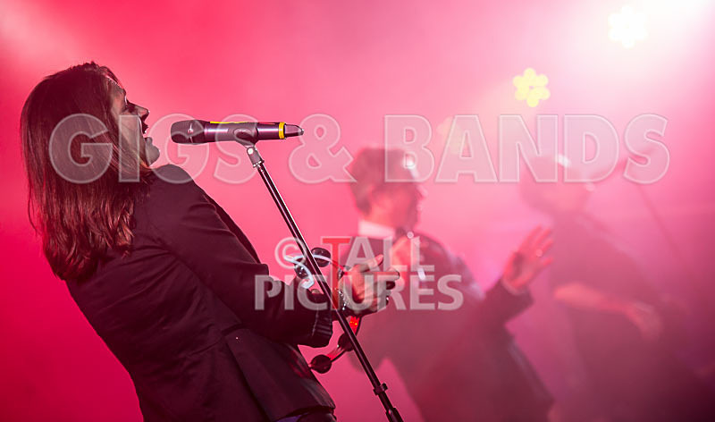 King Rat and the Soul Cats-215 - KING RAT AND THE SOUL CATS