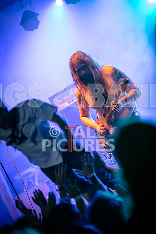 Lord Vapour-269 - LORD VAPOUR