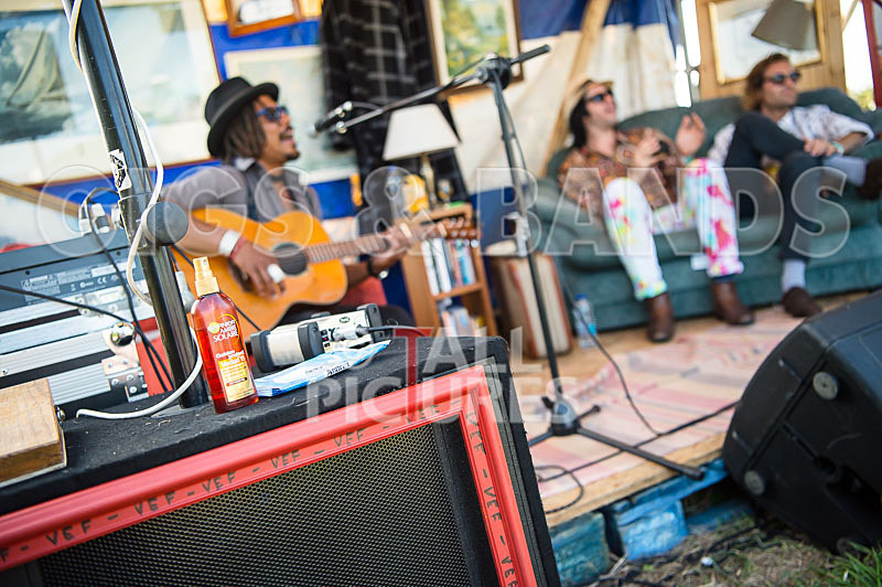 Vale Earth Fair 2017_SCENE-57 - VALE EARTH FAIR 2017_THE SCENE