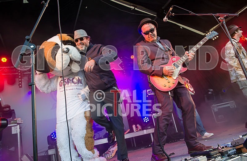 Sons of the Desert-212 - SONS OF THE DESERT