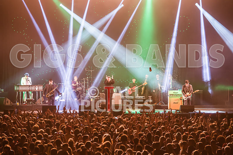 Madness-75 - MADNESS