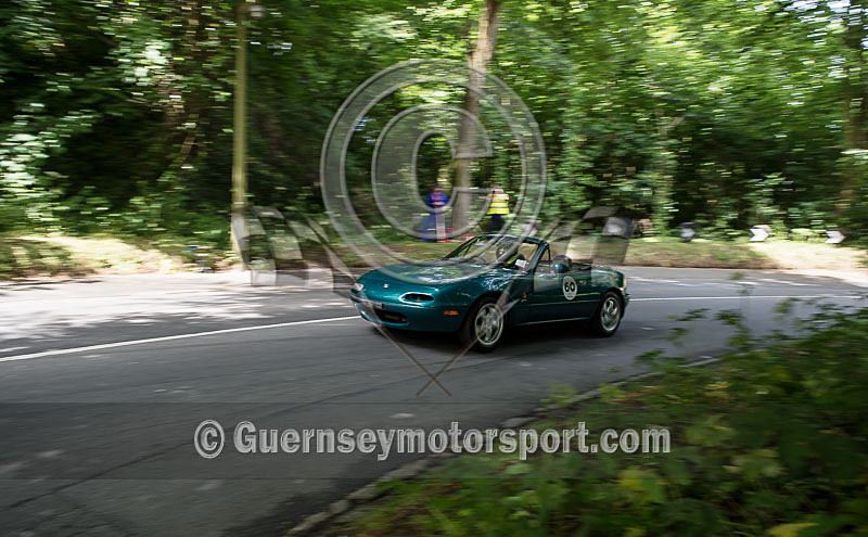 Heritage Charity Hillclimb_2014-265 - HERITAGE CHARITY HILL CLIMB 2014
