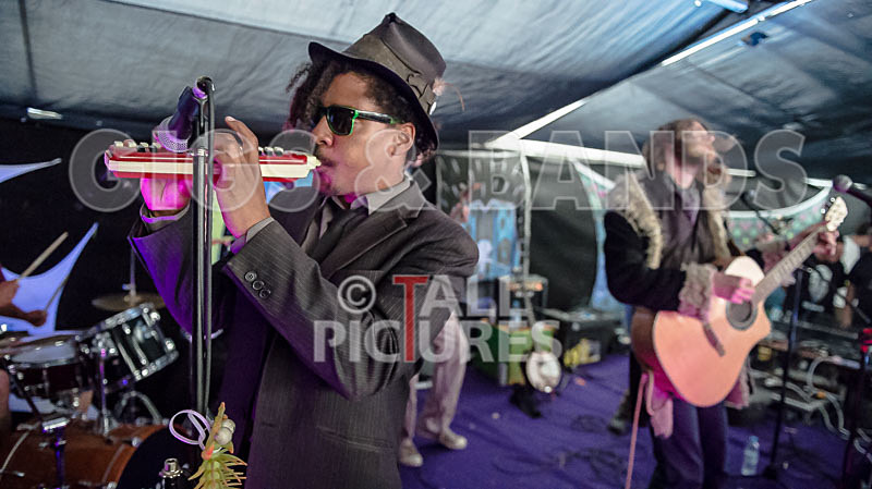 The Recks-288 - THE RECKS