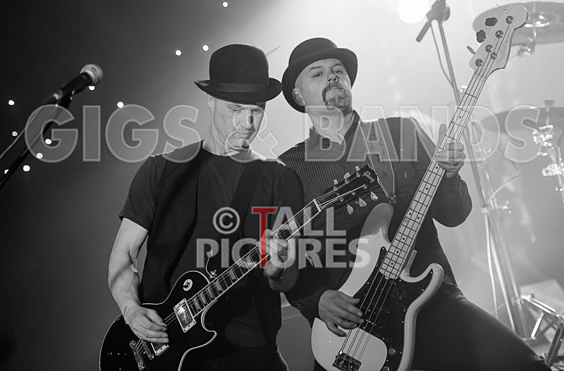 Peppered Ant Legs-167 - PEPPERED ANT LEGS