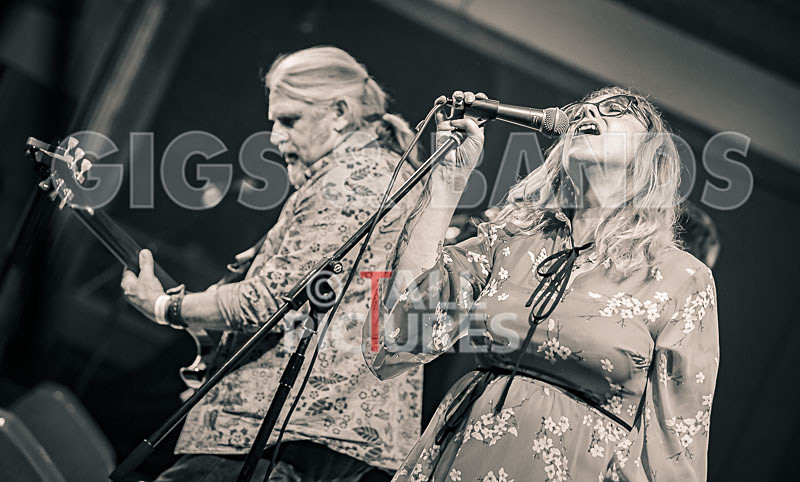 The Sacred Hearts-52 - THE SACRED HEARTS