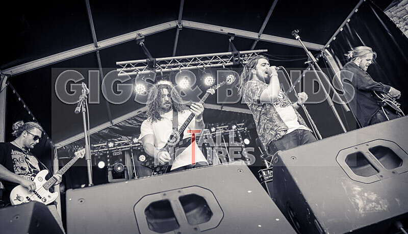 The Dust-20 - THE DUST