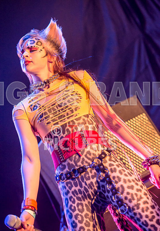 Pussycat and the Dirty Johnsons-49 - PUSSYCAT AND THE DIRTY JOHNSONS