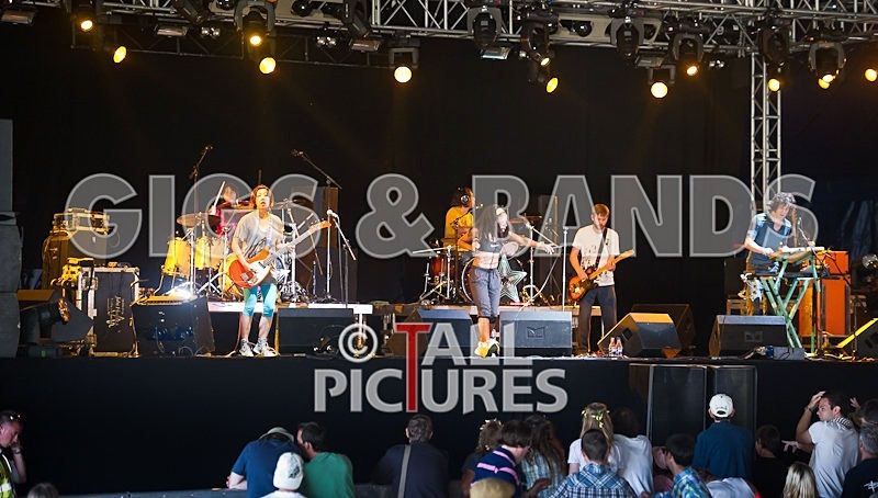 The Go Team-49 - THE GO! TEAM